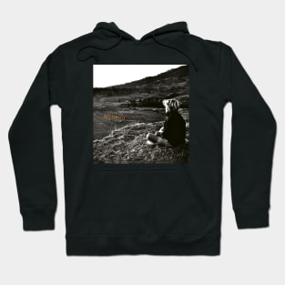 David Sylvian-Alchemy-An Index Of Possibilities Hoodie